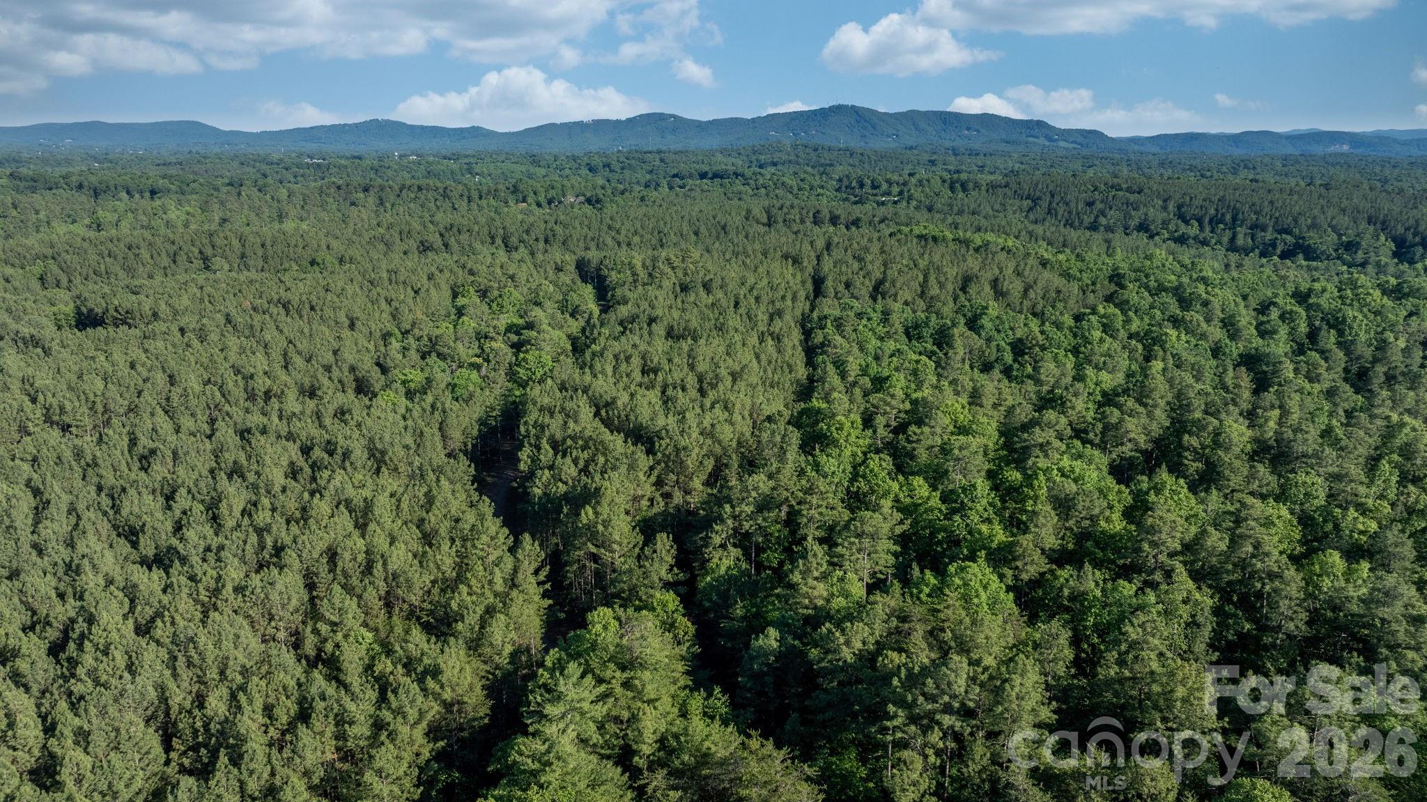 0 Huffman Bridge Road Morganton, NC 28655 - Photo 17 of 21 Gallery Image 17