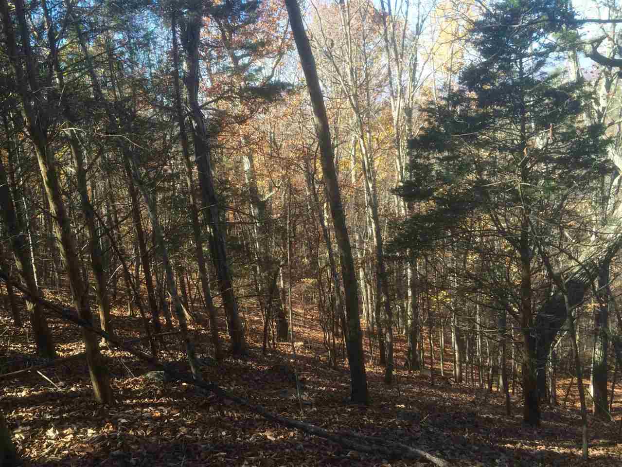 Tbd Mountain View Road Lexington, VA 24450 - Photo 12 of 19 Gallery Image 12