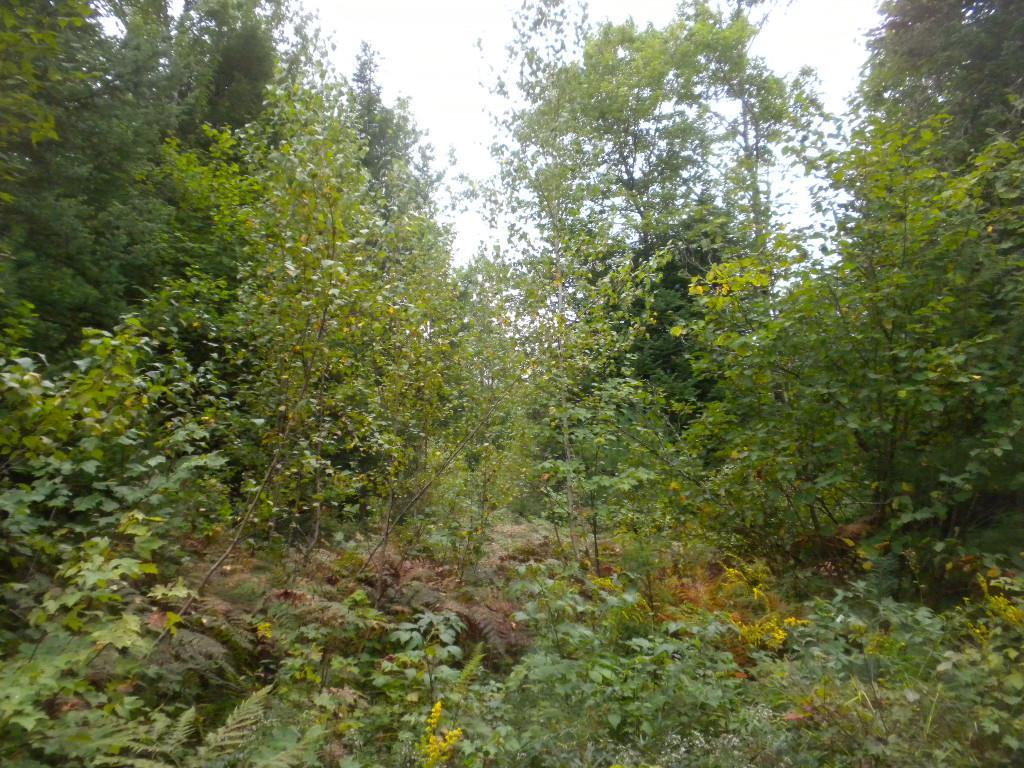 7 River Road Limington, ME 04049 - Photo 23 of 26 Photo