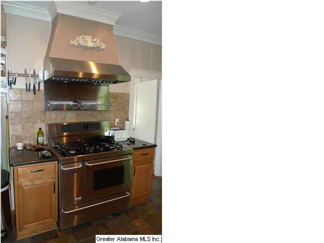 923 Irving Road Birmingham, AL 35209 - Photo 6 of 19