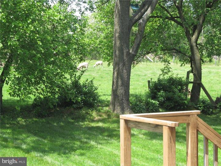 765 Ebelhare Road Pottstown, PA 19465 - Photo 21 of 22 View in Back