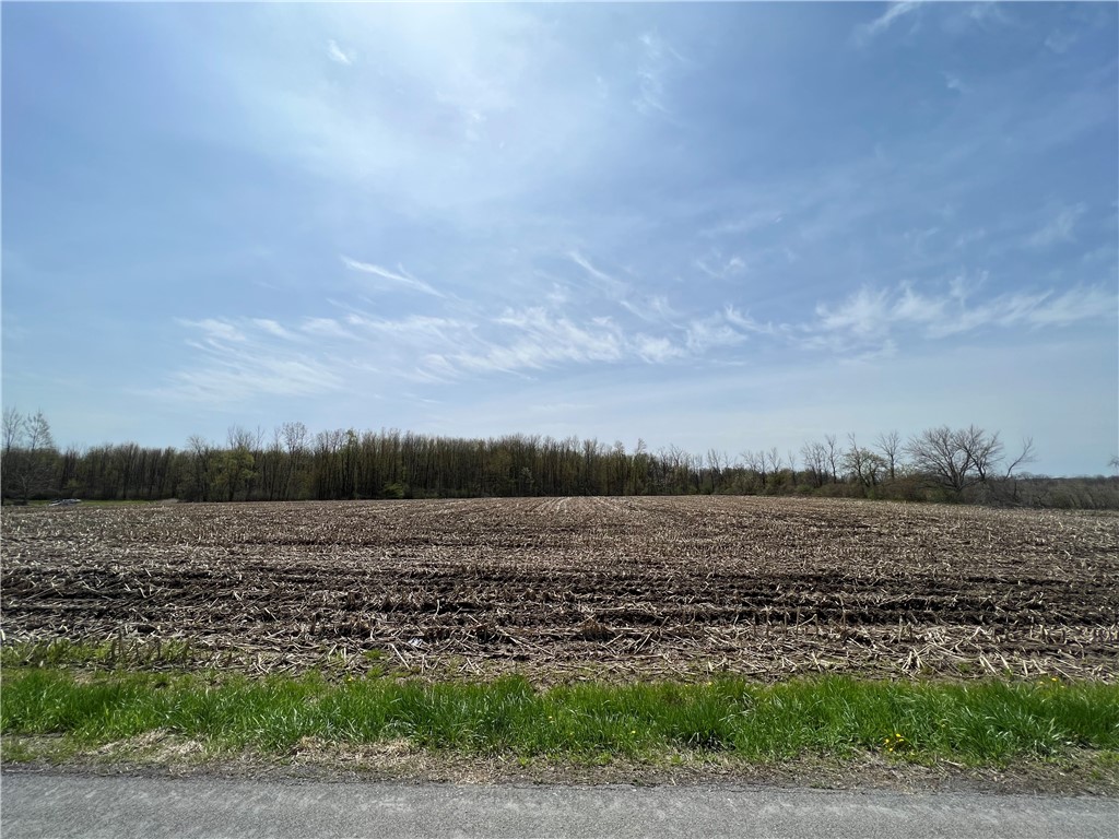 693 Sanford Road South Riga, NY 14428 - Photo 1 of 1 open tillable land