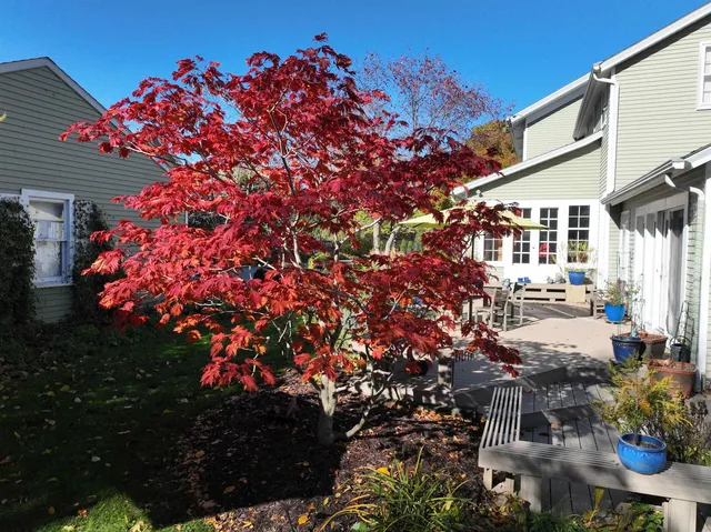 $599,000 | 612 St Lawrence Avenue, Janesville, WI 53545