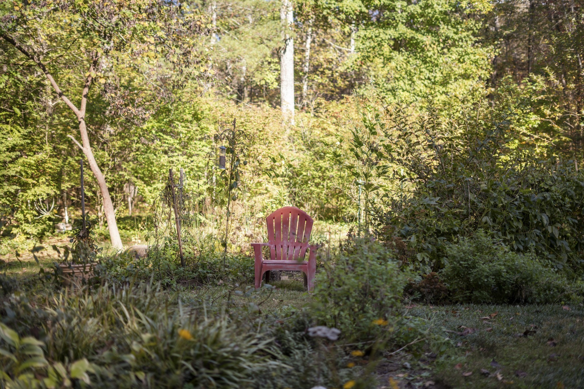 954 Belmont Road Manchester, TN 37355 - Photo 28 of 42 a view of a garden