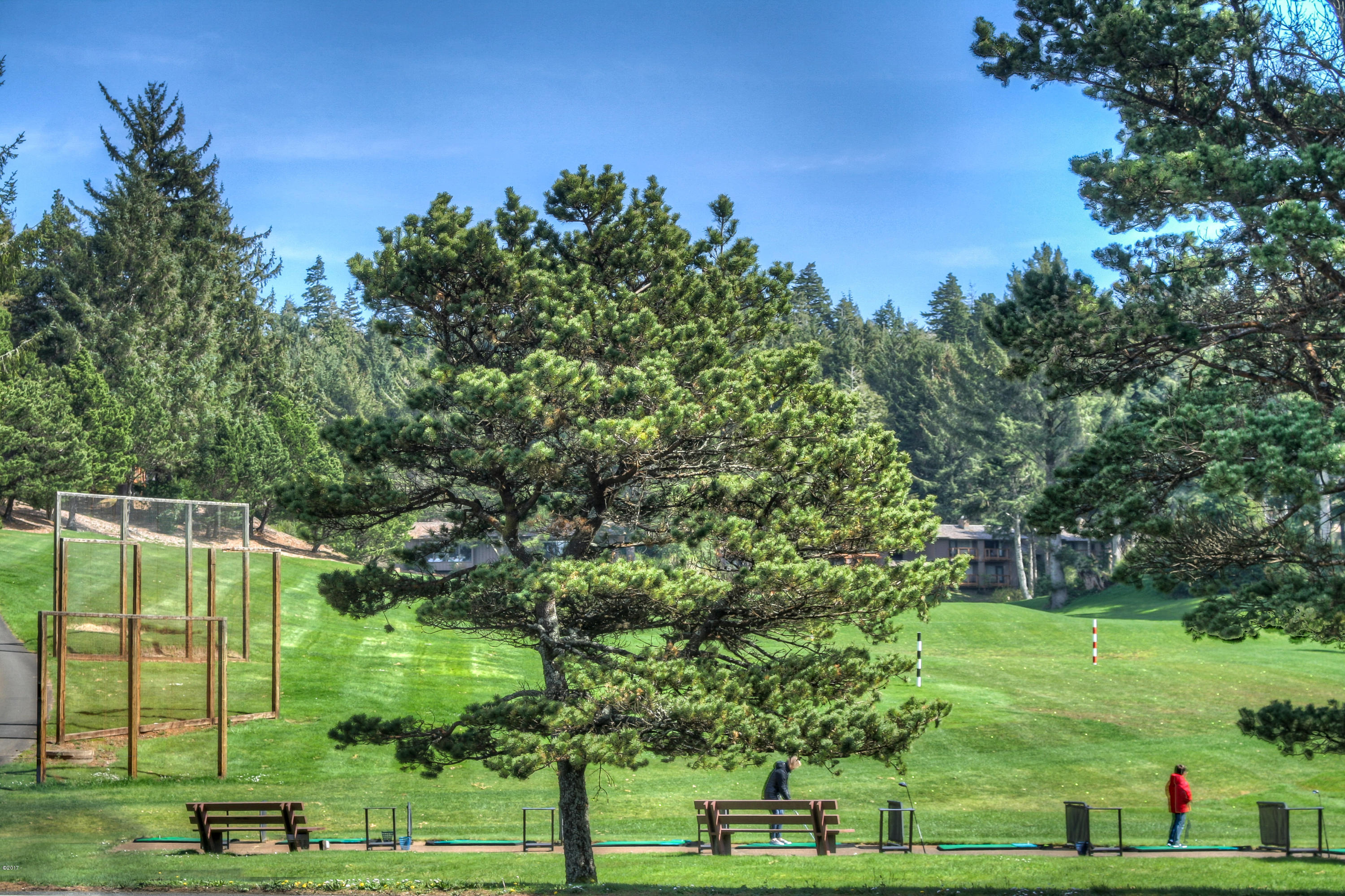 17 Big Tree Road Gleneden Beach, OR 97388 - Photo 40 of 52 a view of a field with a tree