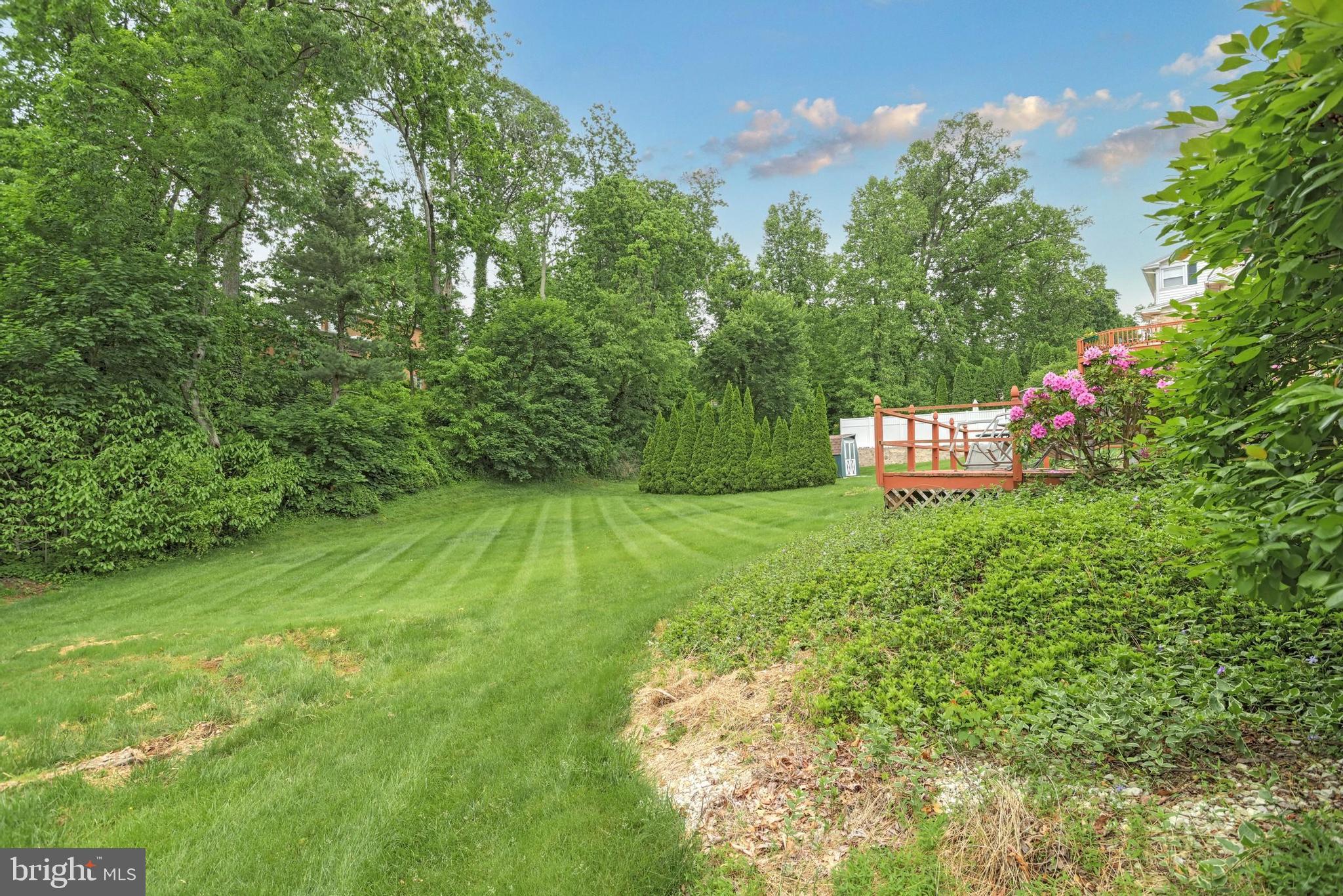 2661 Raleigh Drive York, PA 17402 - Photo 5 of 25 Backyard