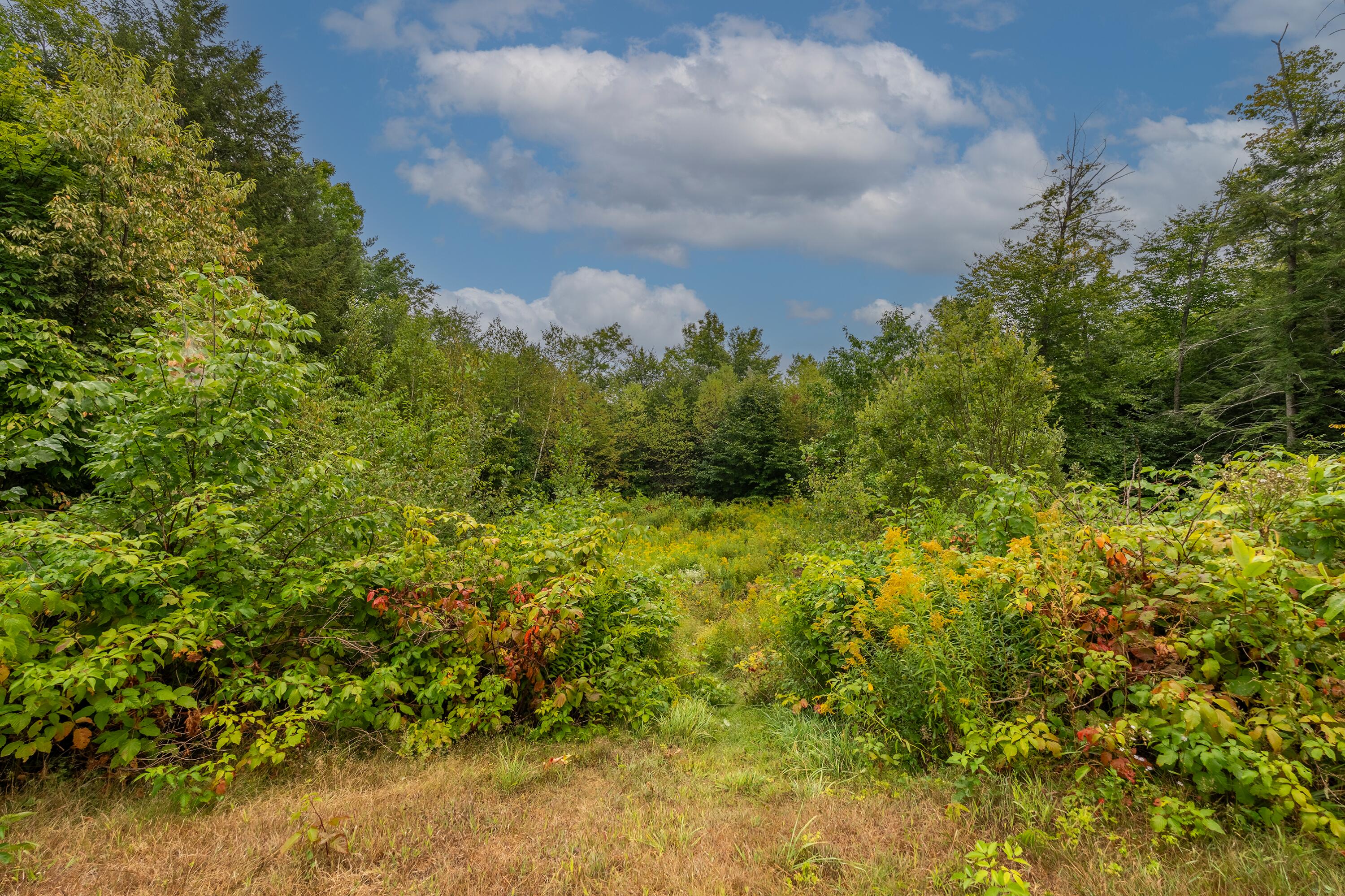 42 East Oxford Road Paris, ME 04281 - Photo 62 of 69 Private Back yard
