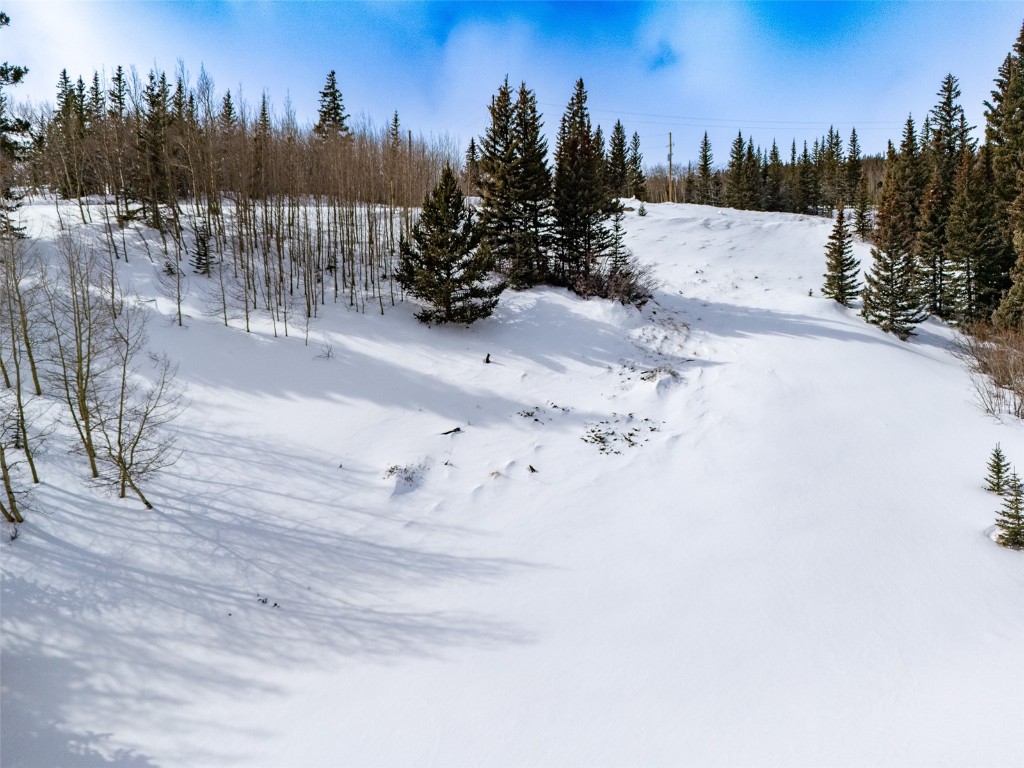 1307 Roberts Road Alma, CO 80420 - Photo 11 of 22 Gallery Image 11