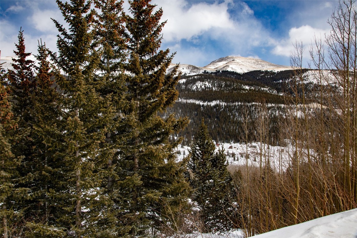 1307 Roberts Road Alma, CO 80420 - Photo 2 of 22 Gallery Image 2