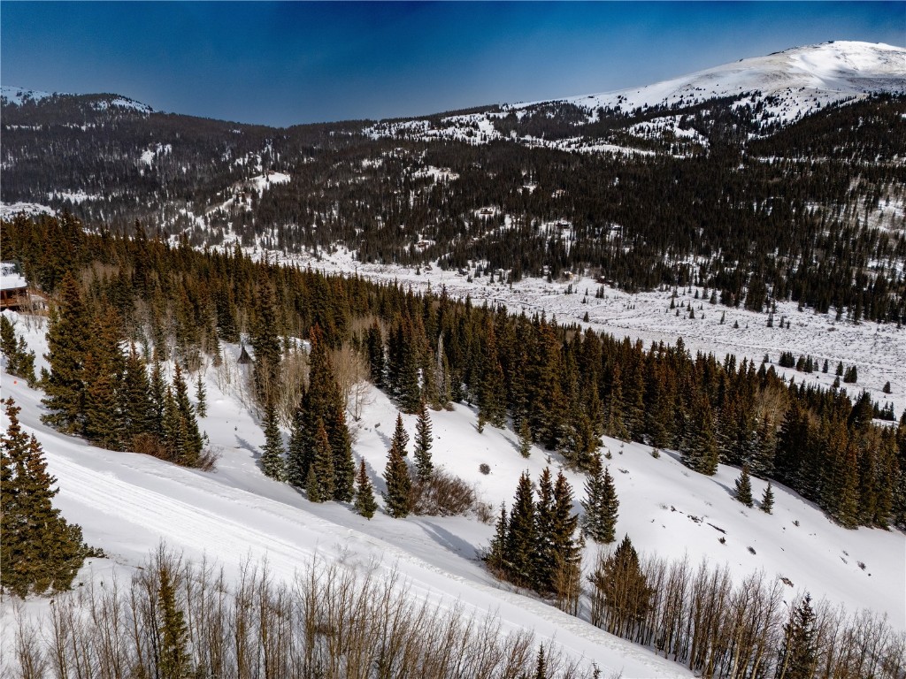 1307 Roberts Road Alma, CO 80420 - Photo 7 of 22 Gallery Image 7