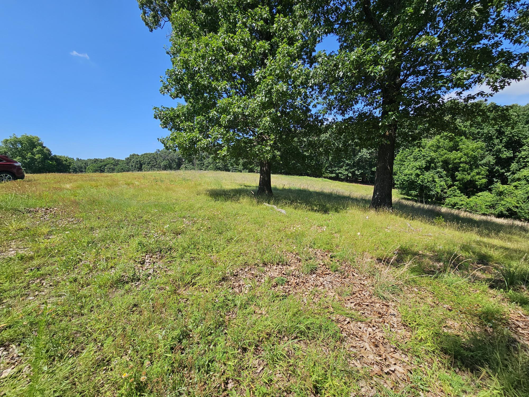 5383 Cowan Ridge Road Powell, MO 65730 - Photo 13 of 32 cowin ridge pic land 2-4