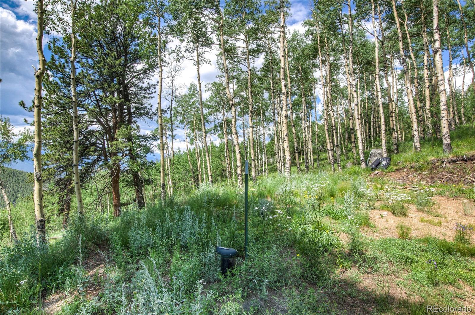 0 Robinson Hill Road Black Hawk, CO 80422 - Photo 11 of 38 a view of yard with trees