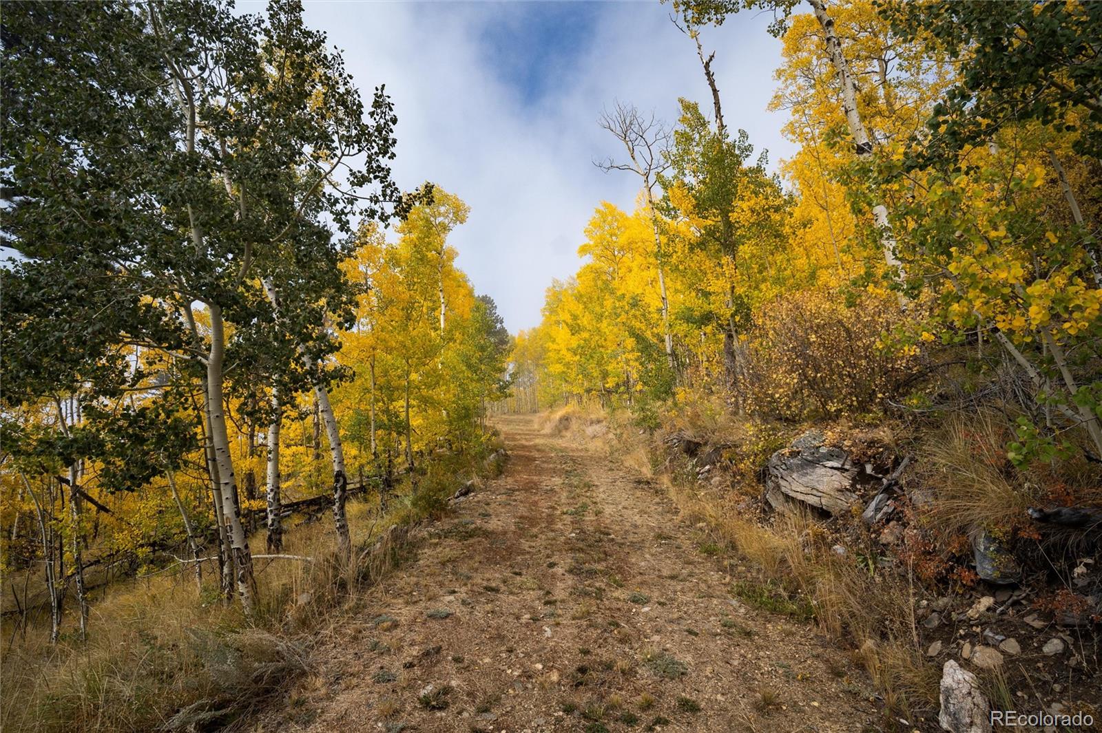 0 Robinson Hill Road Black Hawk, CO 80422 - Photo 20 of 38 a view of a yard with a tree
