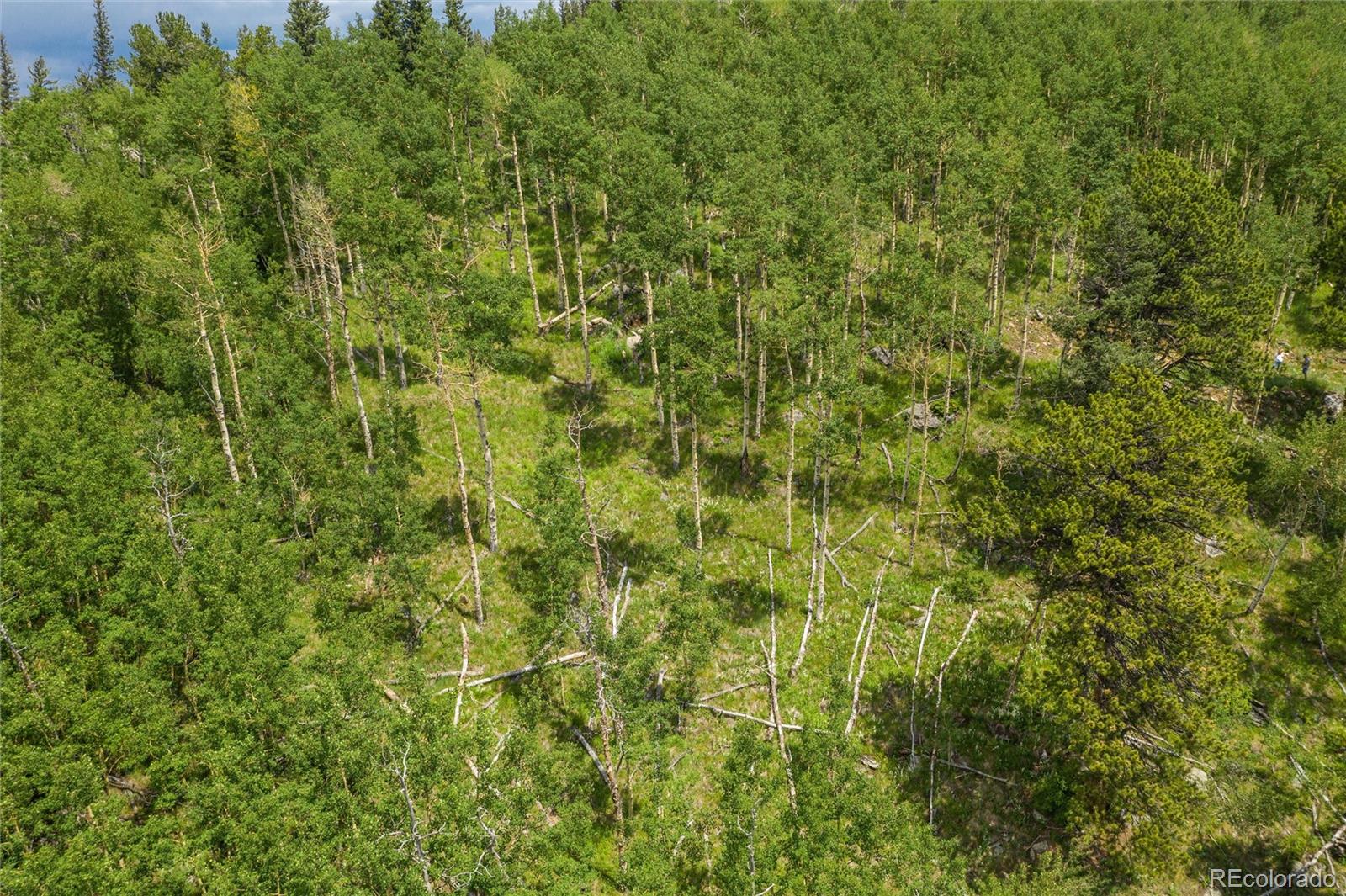 0 Robinson Hill Road Black Hawk, CO 80422 - Photo 27 of 38