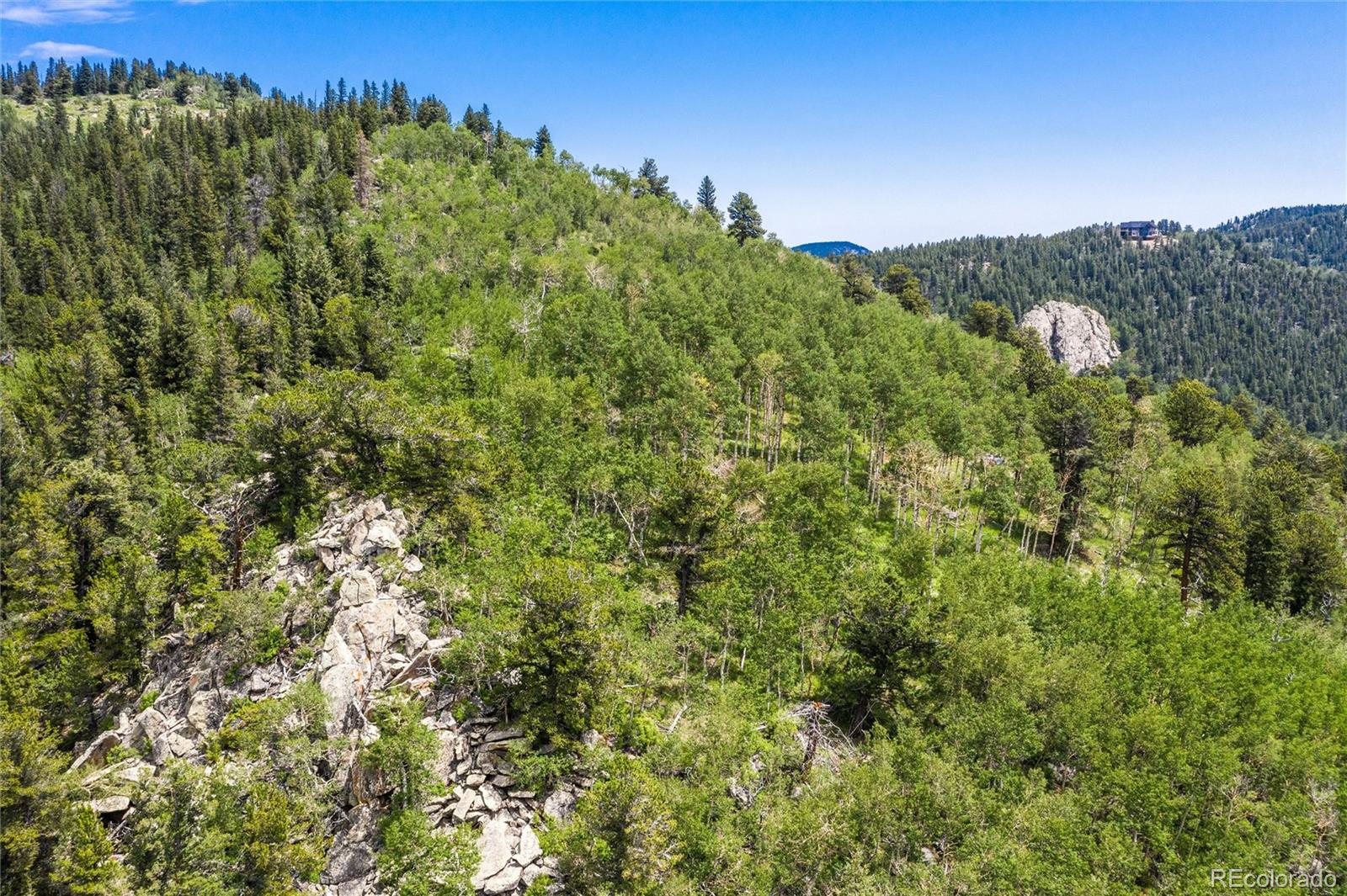 0 Robinson Hill Road Black Hawk, CO 80422 - Photo 35 of 38 a view of a lush green forest with a mountain in the background