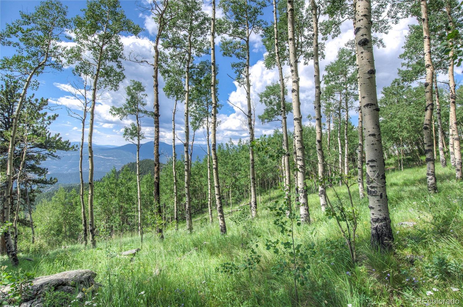 0 Robinson Hill Road Black Hawk, CO 80422 - Photo 4 of 38 a view of a garden