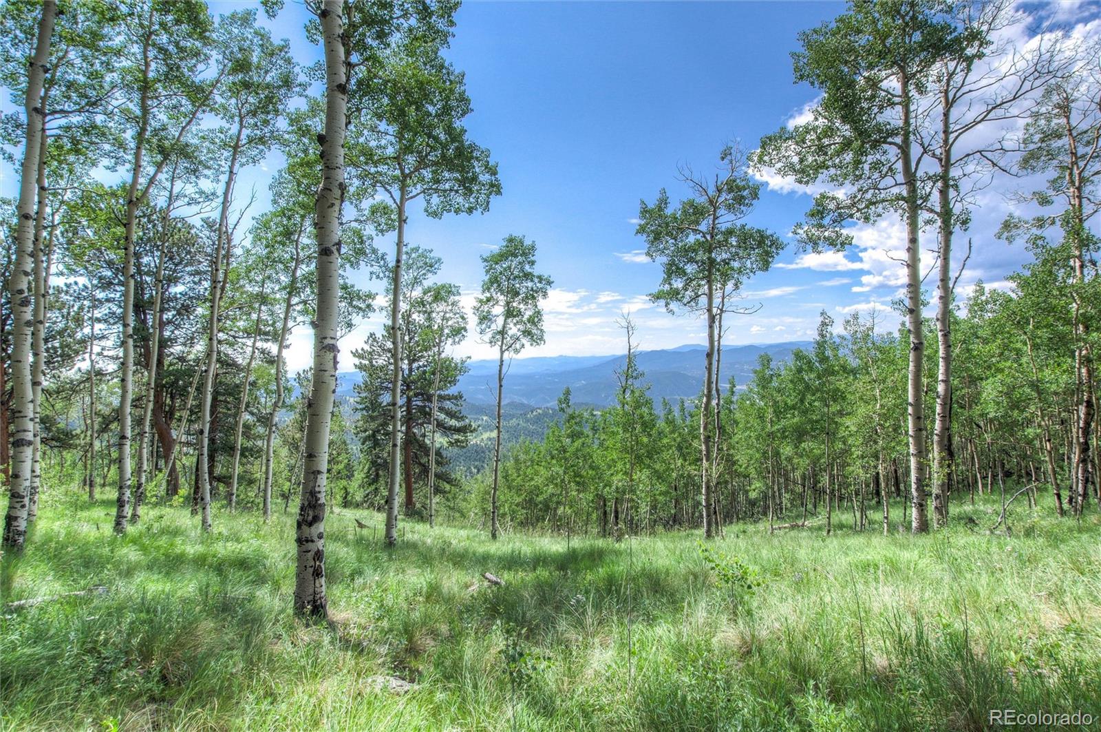 0 Robinson Hill Road Black Hawk, CO 80422 - Photo 6 of 38 a view of a garden