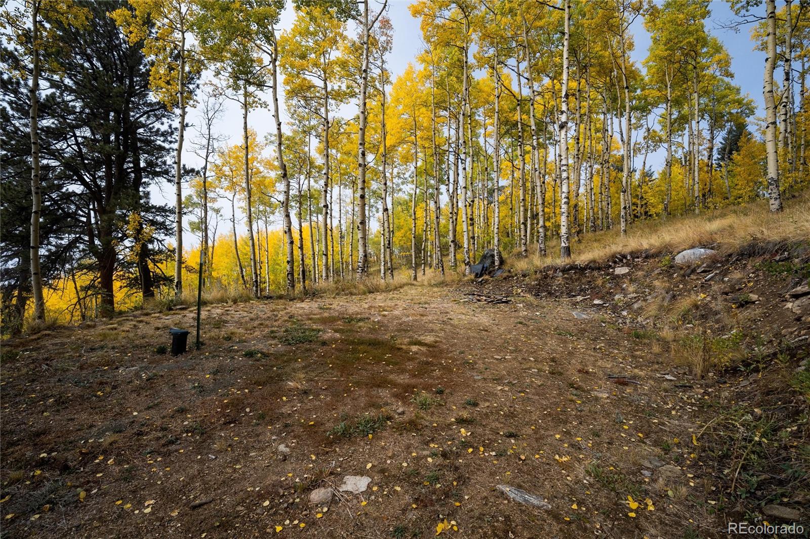 0 Robinson Hill Road Black Hawk, CO 80422 - Photo 8 of 38
