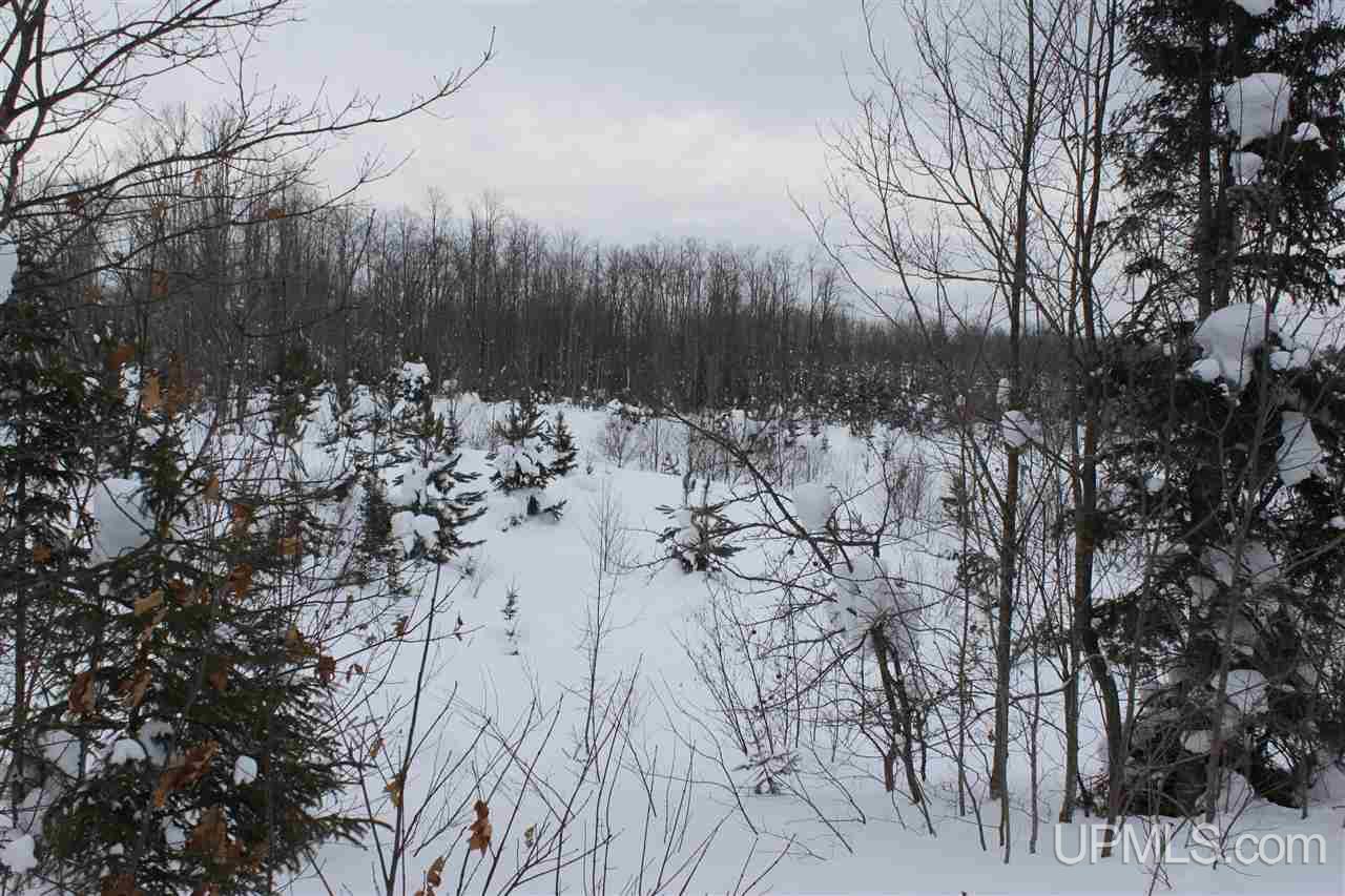 Tbd Emily Lake Road Toivola, MI 49965 - Photo 21 of 36 Gallery Image 21