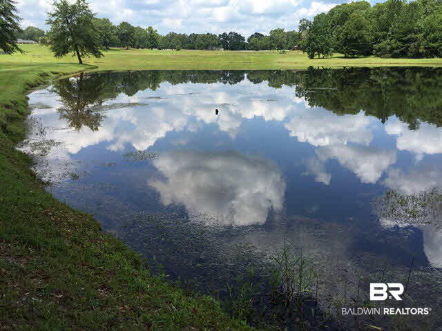 0 Deer Ridge Drive Wilmer, AL 36587 - Photo 15 of 17