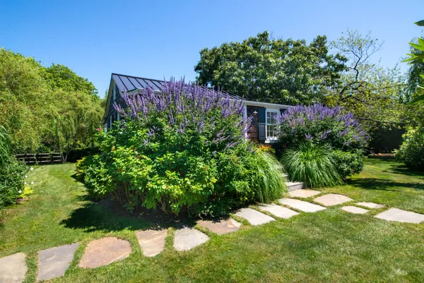 a view of a back yard