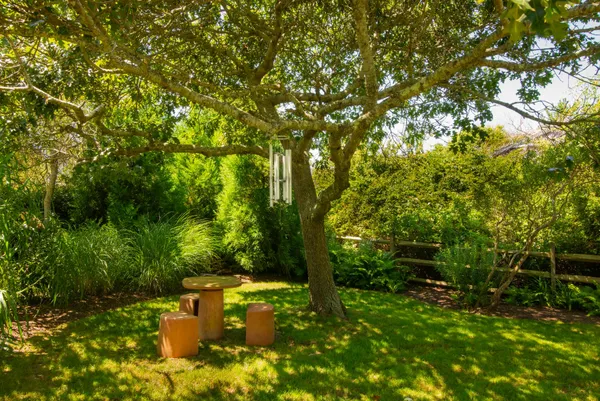 a view of a lush green space