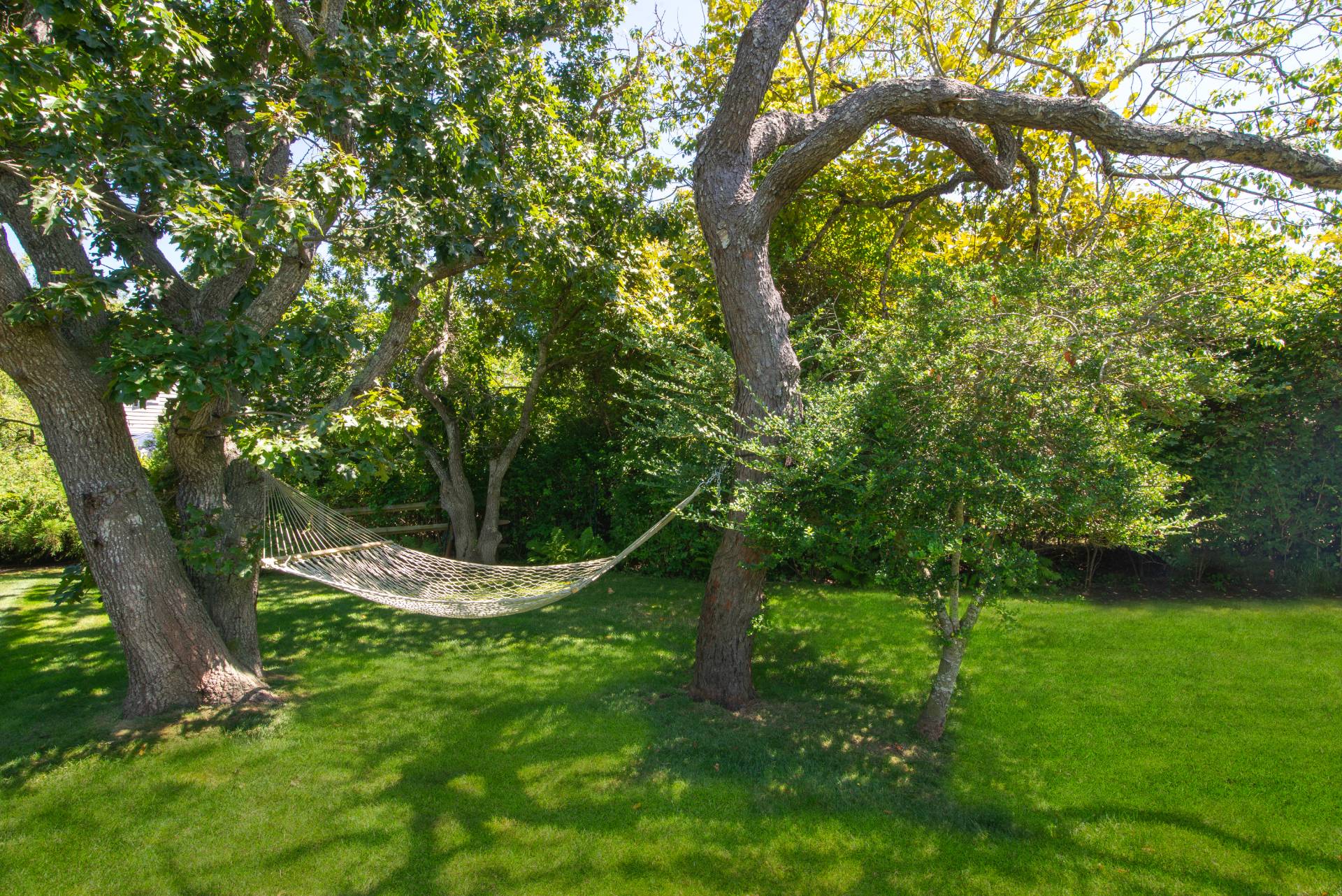 12 Jackson Road Montauk, NY 11954 - Photo 36 of 38 a view of a lush green space
