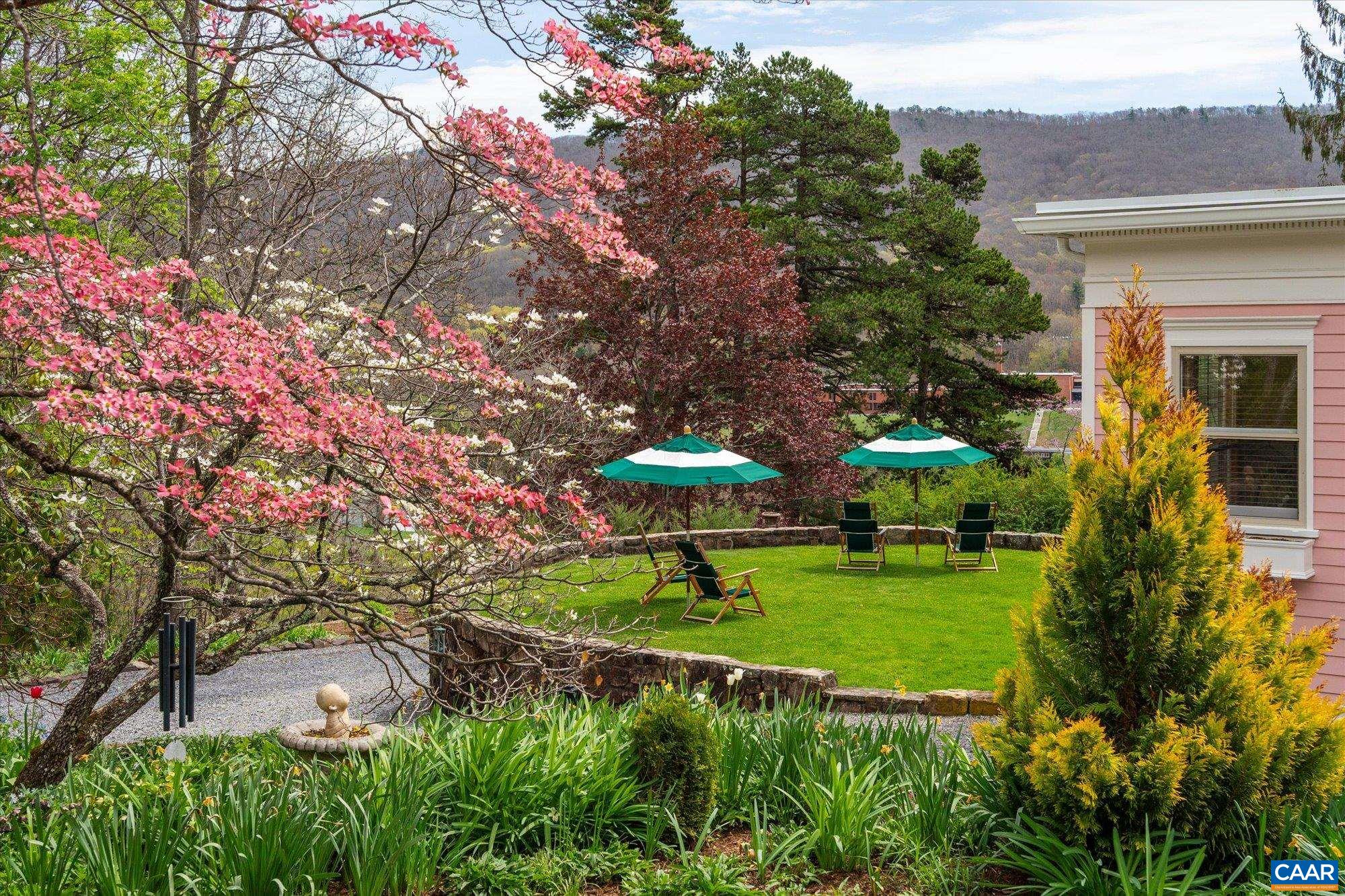 356 Routier Hill Road Hot Springs, VA 24445 - Photo 64 of 75 a view of a garden with a large tree