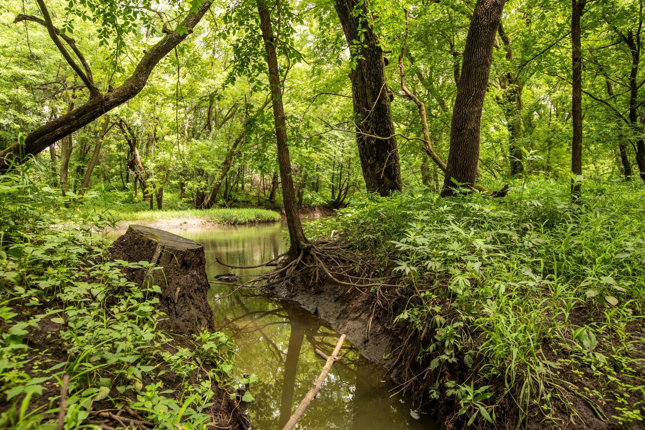 30 State Highway 30 Blooming Prairie, MN 55917 - Photo 11 of 12