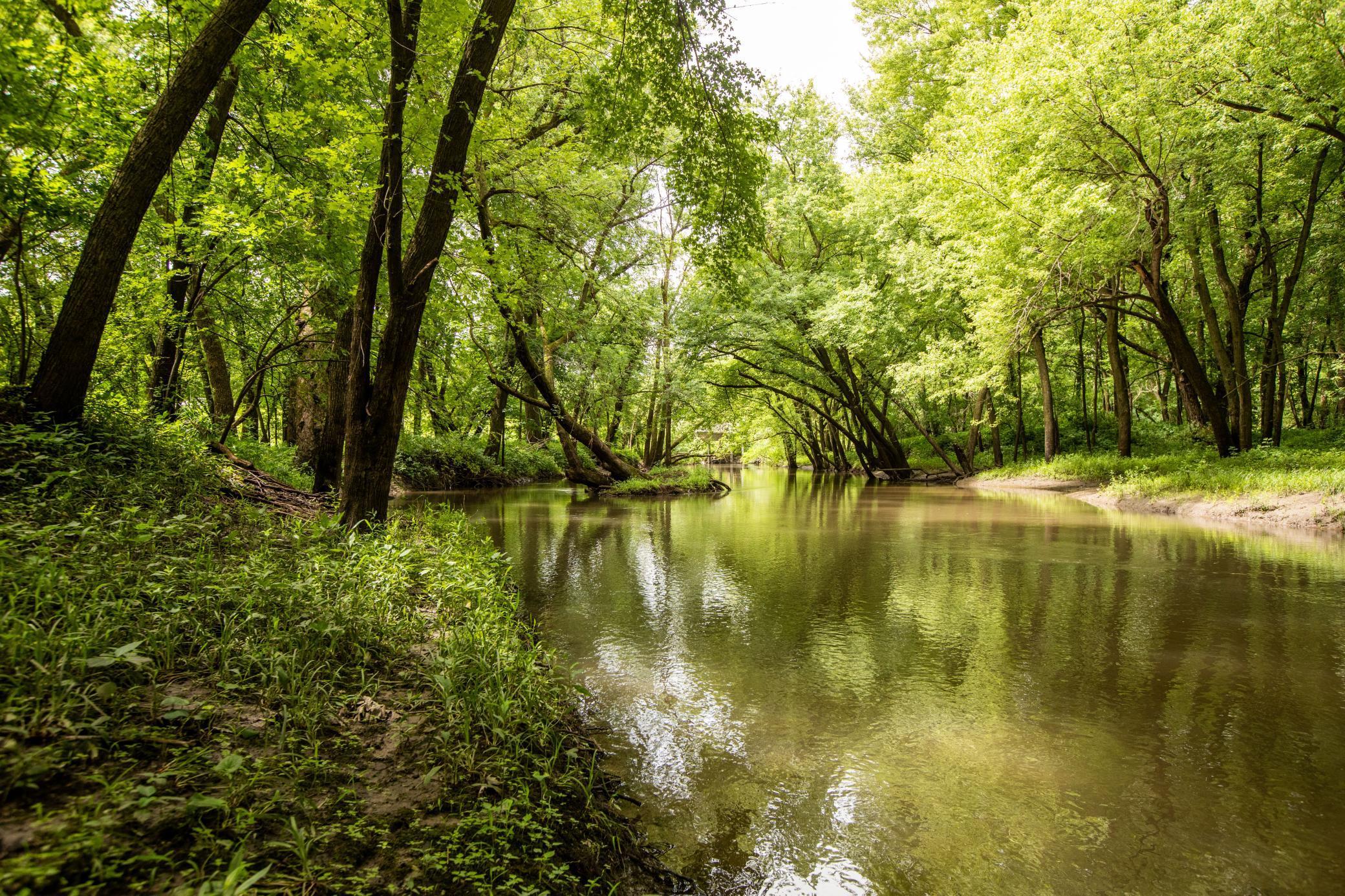 30 State Highway 30 Blooming Prairie, MN 55917 - Photo 12 of 12