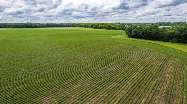 $1,262,360 | 30 Westfield Twp Mn 55917, Blooming Prairie, MN 55917