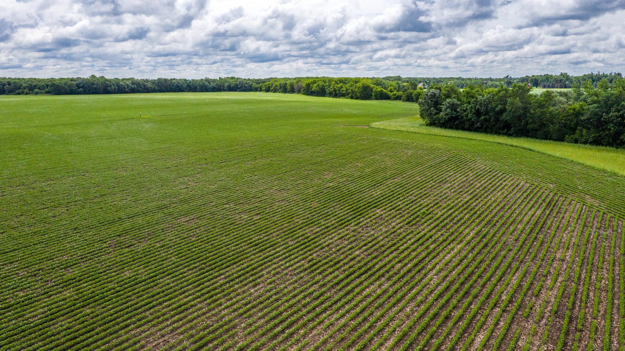30 State Highway 30 Blooming Prairie, MN 55917 - Photo 5 of 12