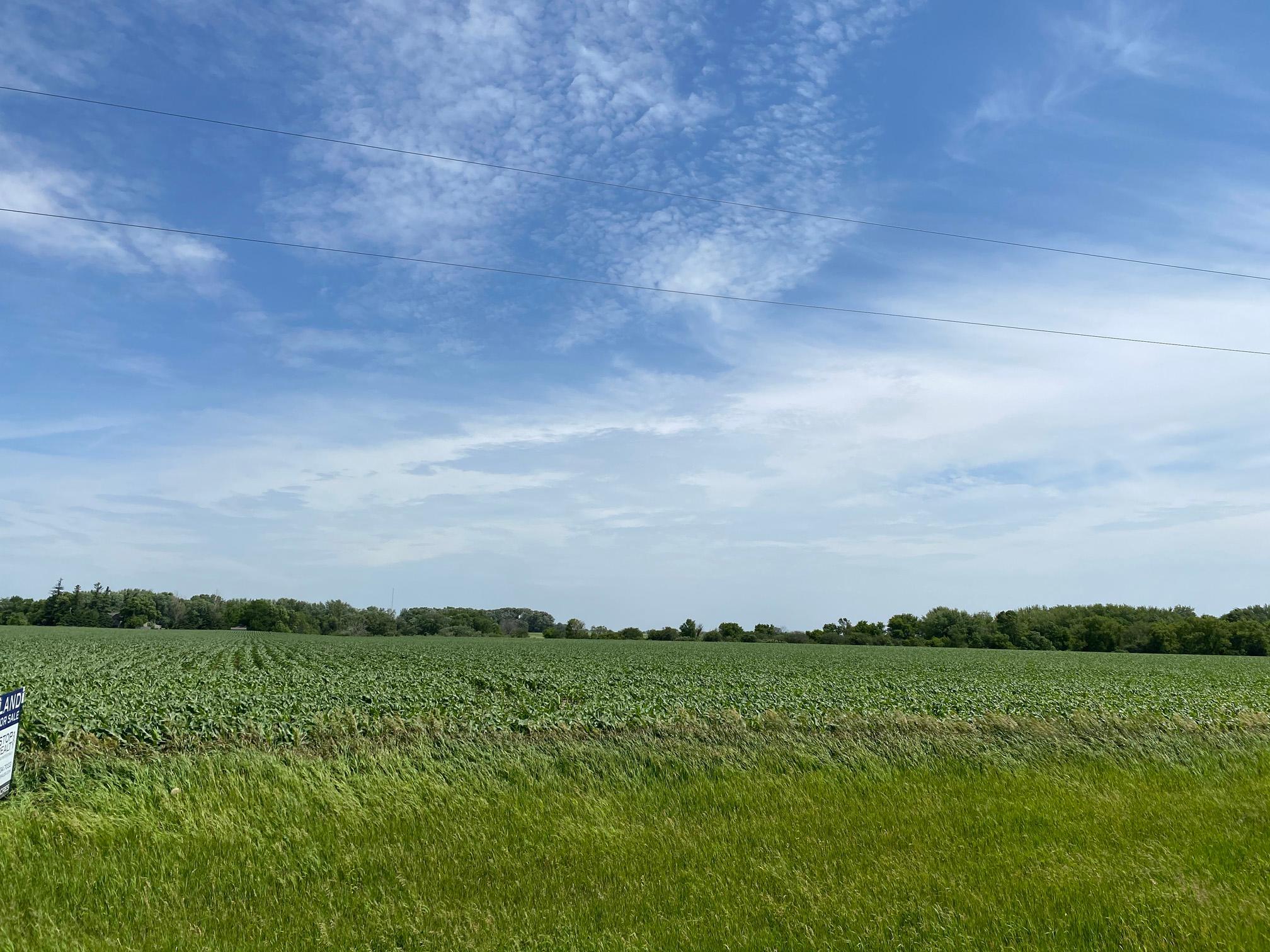 30 State Highway 30 Blooming Prairie, MN 55917 - Photo 6 of 12
