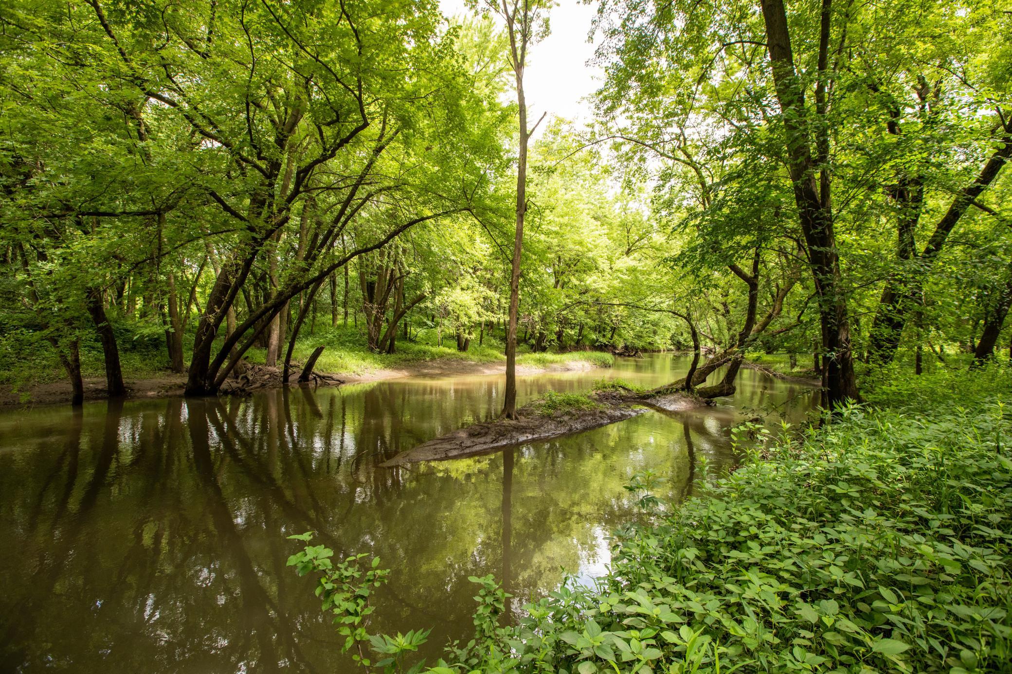 30 State Highway 30 Blooming Prairie, MN 55917 - Photo 10 of 12