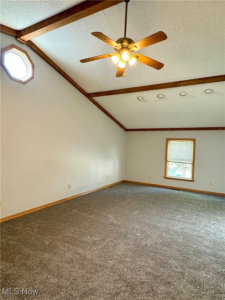 1655 Spring Street Coshocton, OH 43812 - Photo 14 of 19 Unfurnished room featuring carpet flooring, vaulted ceiling with beams, a wealth of natural light, and a textured ceiling