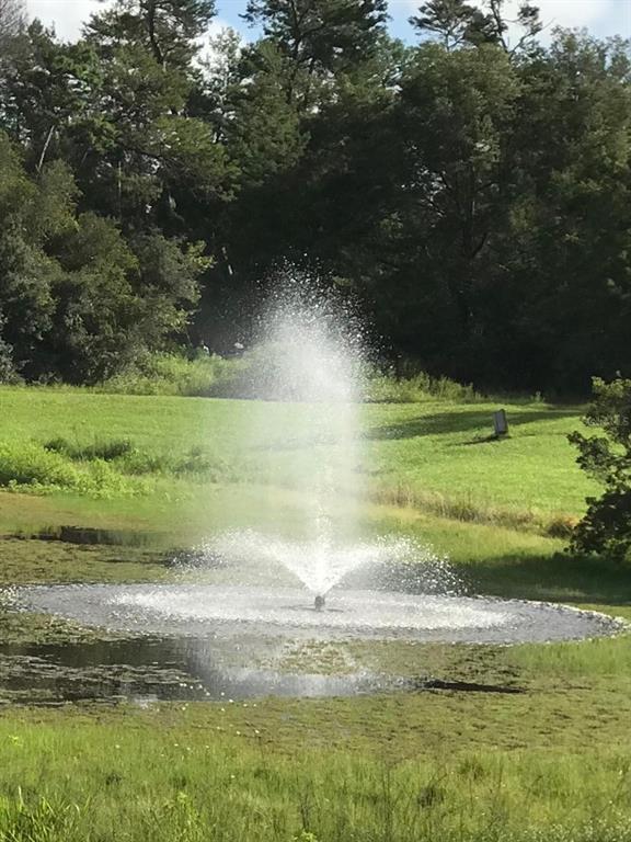 3331 Southwest 153rd Pl Road Ocala, FL 34473 - Photo 2 of 35 a view of a lake from a yard
