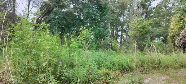 $10,500 | 96 North Sheltering Oaks Drive, Inverness, FL 34453