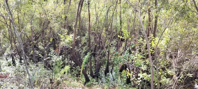 $10,500 | 96 North Sheltering Oaks Drive, Inverness, FL 34453