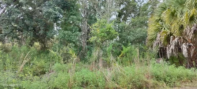 $10,500 | 96 North Sheltering Oaks Drive, Inverness, FL 34453