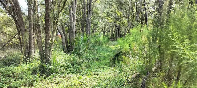 $10,500 | 96 North Sheltering Oaks Drive, Inverness, FL 34453