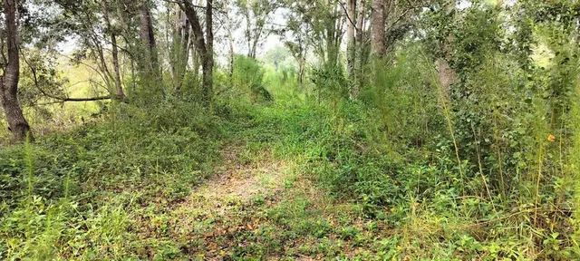 $10,500 | 96 North Sheltering Oaks Drive, Inverness, FL 34453