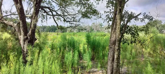 $10,500 | 96 North Sheltering Oaks Drive, Inverness, FL 34453