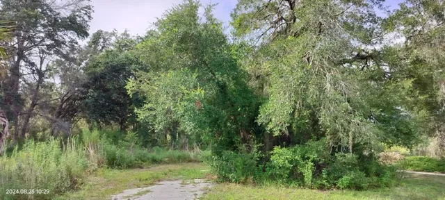 $10,500 | 96 North Sheltering Oaks Drive, Inverness, FL 34453