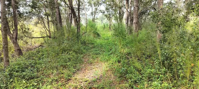 $10,500 | 96 North Sheltering Oaks Drive, Inverness, FL 34453