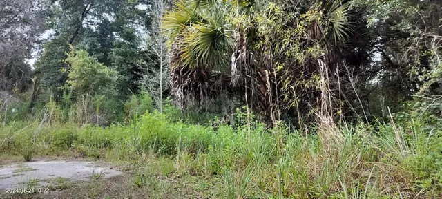 $10,500 | 96 North Sheltering Oaks Drive, Inverness, FL 34453