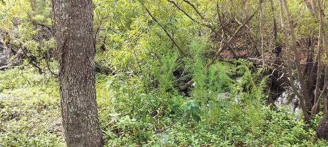 $10,500 | 96 North Sheltering Oaks Drive, Inverness, FL 34453