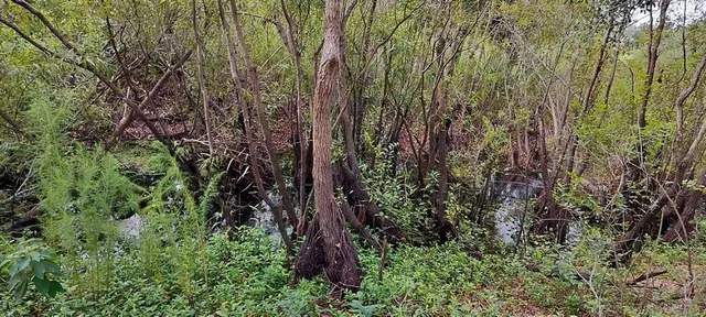 $10,500 | 96 North Sheltering Oaks Drive, Inverness, FL 34453