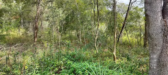 $10,500 | 96 North Sheltering Oaks Drive, Inverness, FL 34453