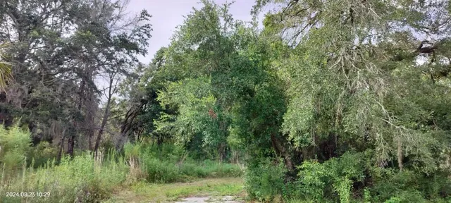 $10,500 | 96 North Sheltering Oaks Drive, Inverness, FL 34453