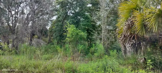 $10,500 | 96 North Sheltering Oaks Drive, Inverness, FL 34453